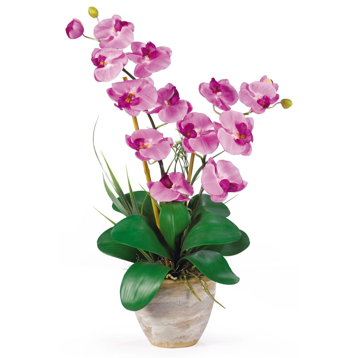 a potted plant with purple flowers