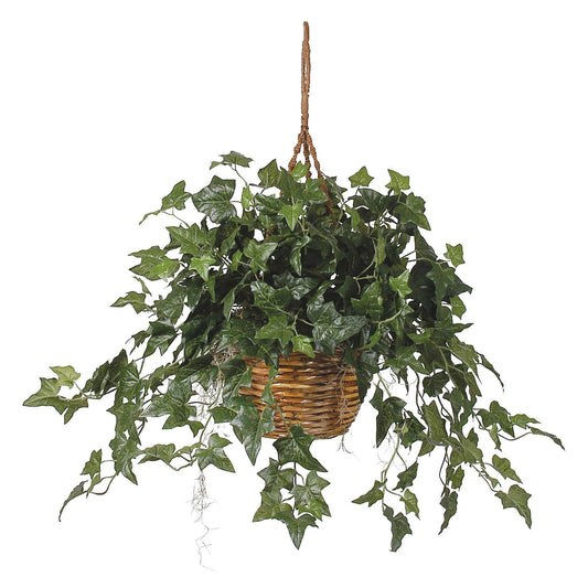 a plant in a basket