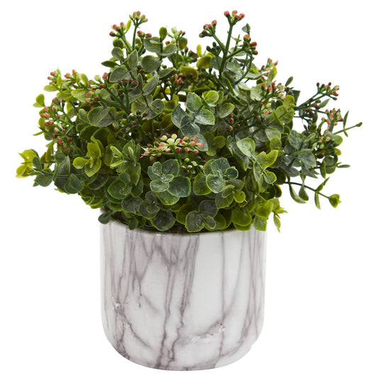 a potted plant with green leaves