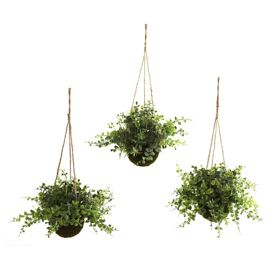 a group of plants