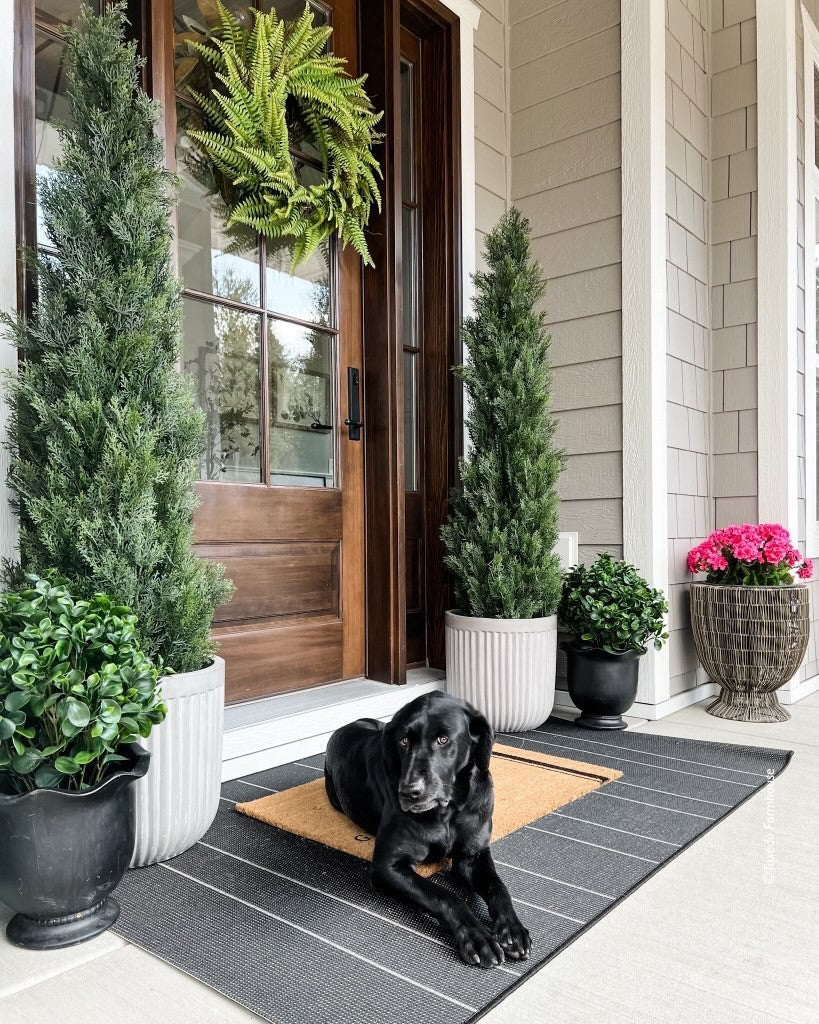 a dog lying on a mat outside of a house