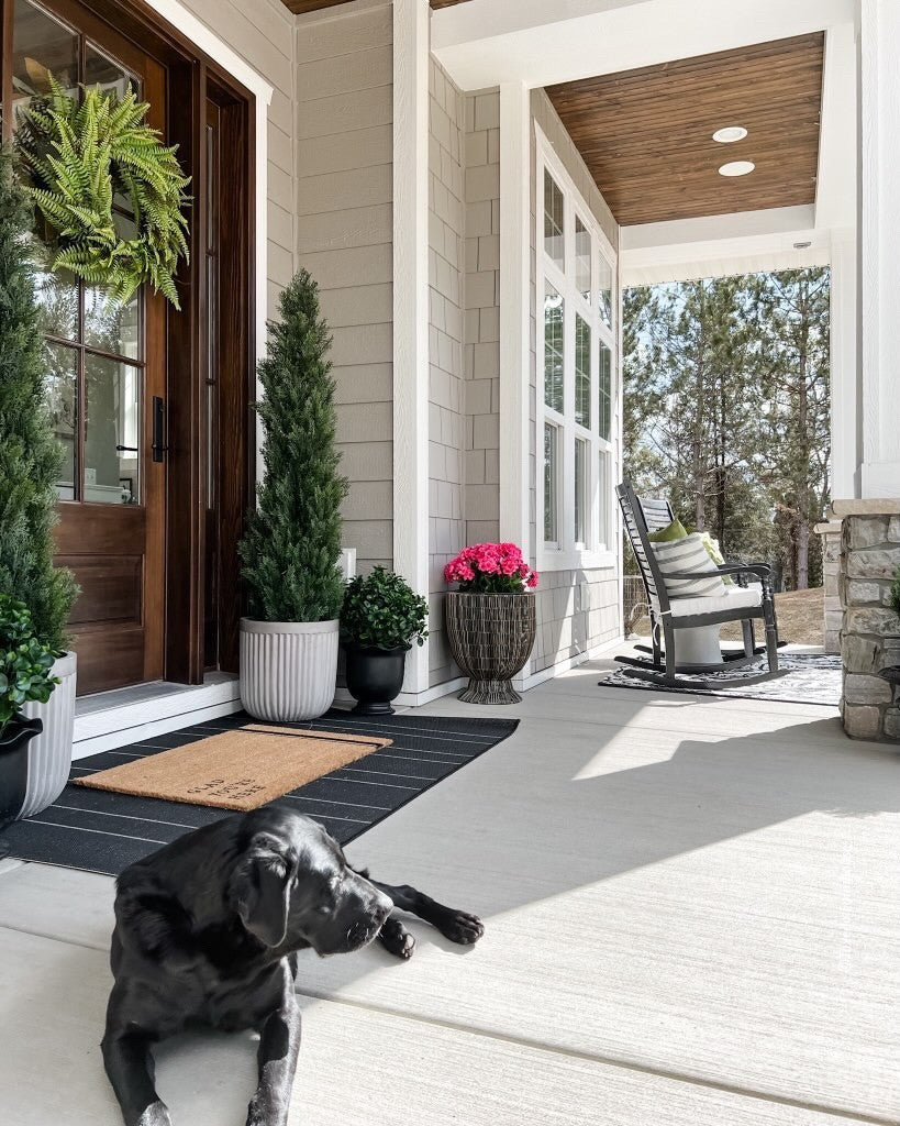a dog lying on a porch