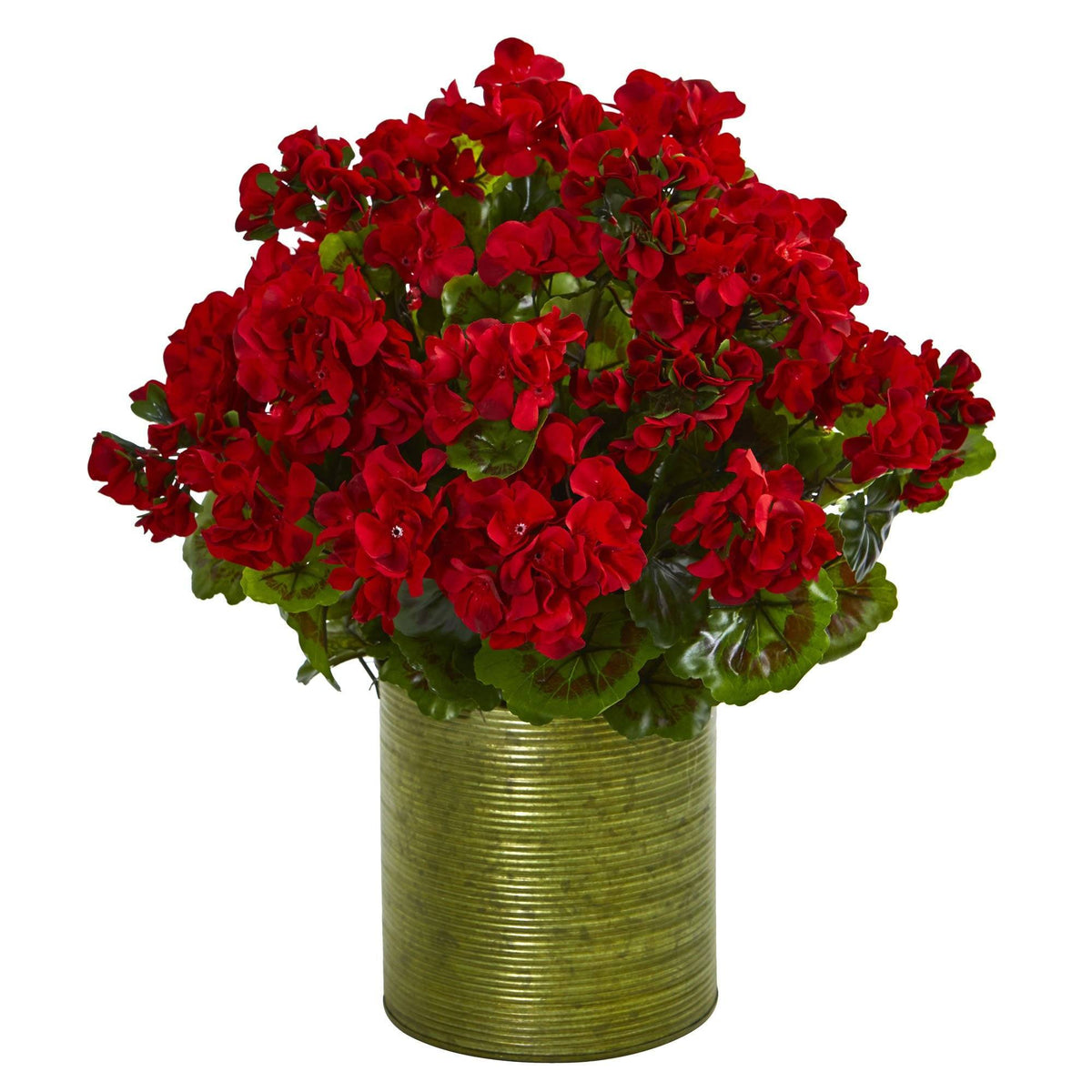 a potted red flowers