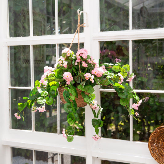 a plant in a pot from a window
