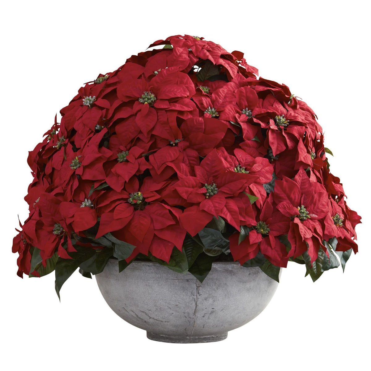 a potted plant with red flowers