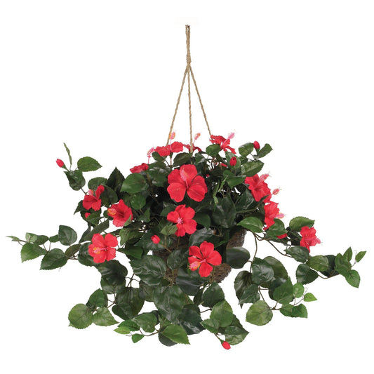 a plant with red flowers