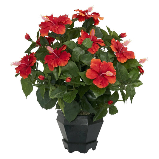 a plant with red flowers