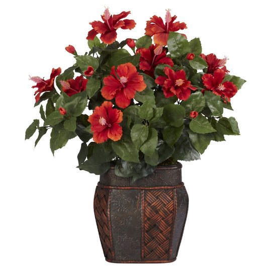 a potted plant with red flowers