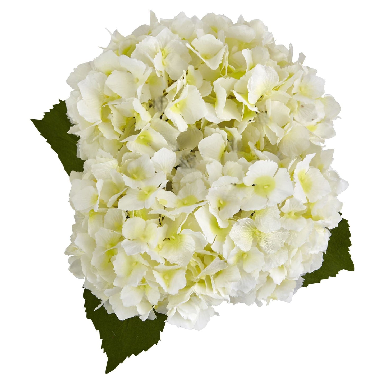 Hydrangea in New Baby Ceramic