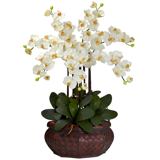 a white flowers in a pot