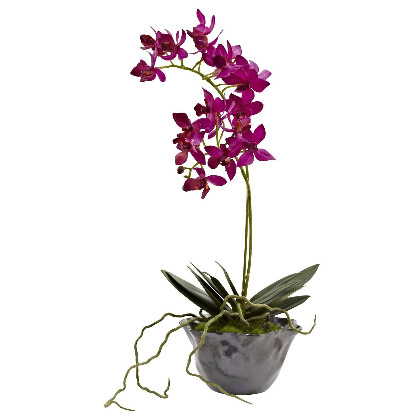 Mini Phal w/Metallic Vase (Set of 2)