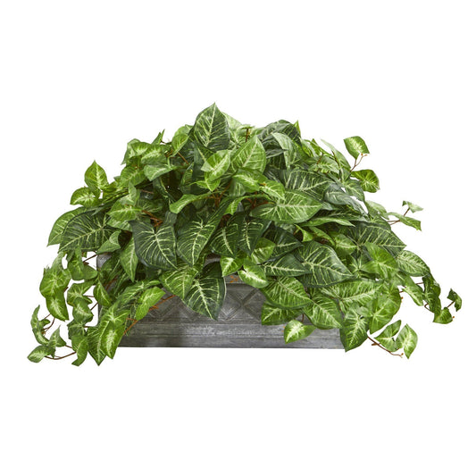 a plant in a pot