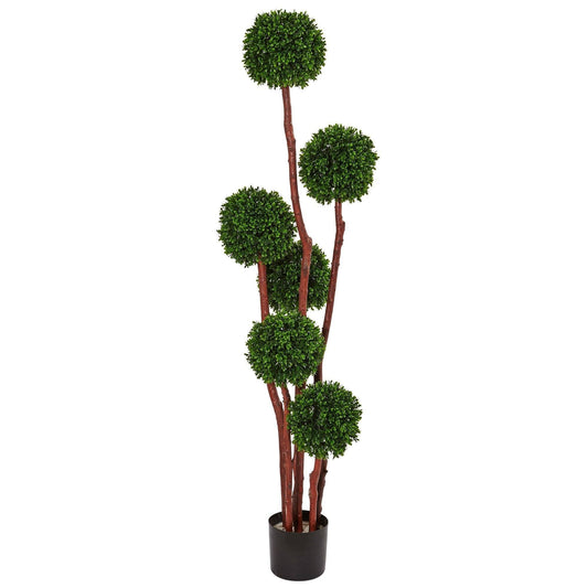 a plant in a pot