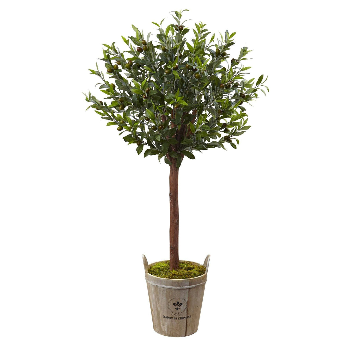 a tree in a pot
