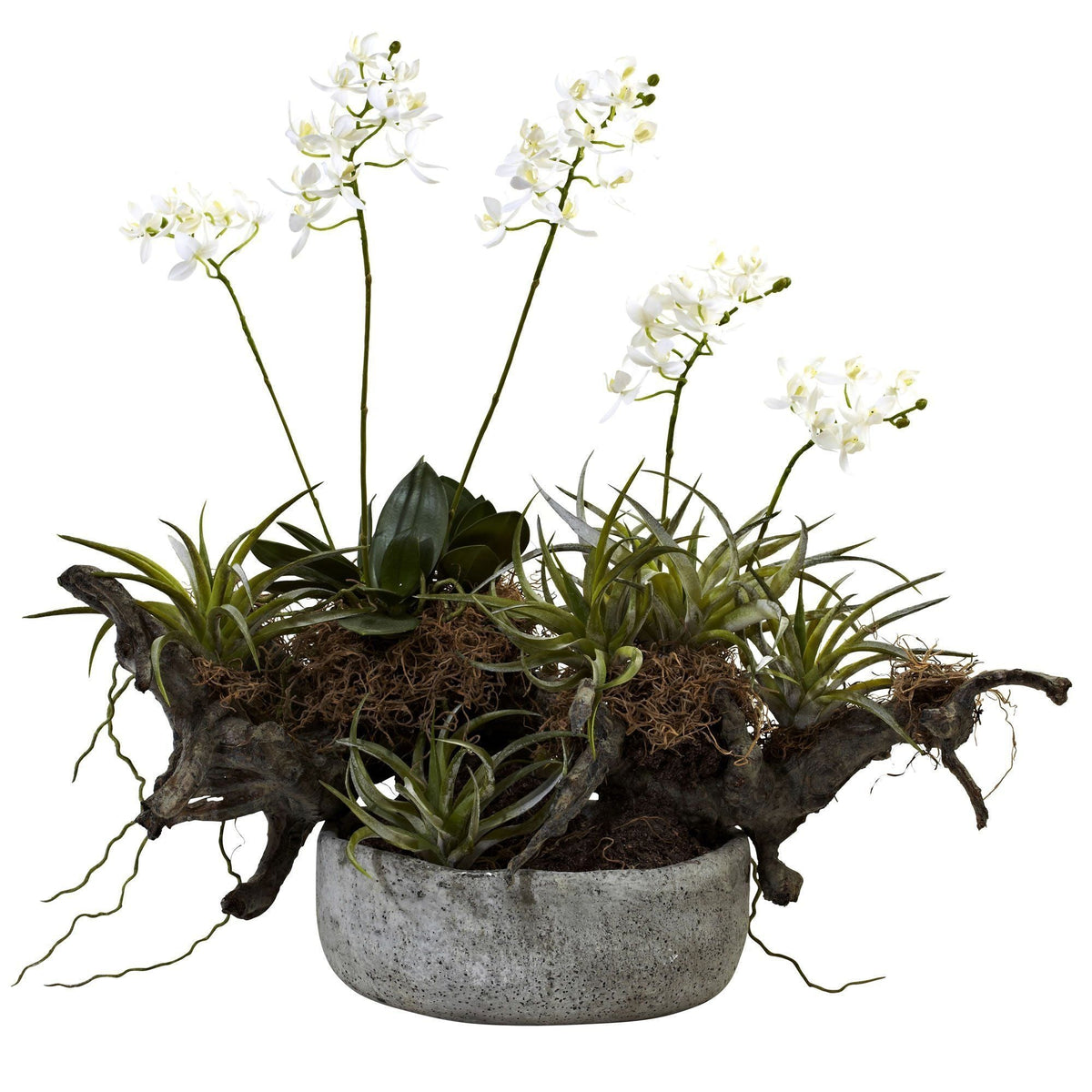 a plant in a pot
