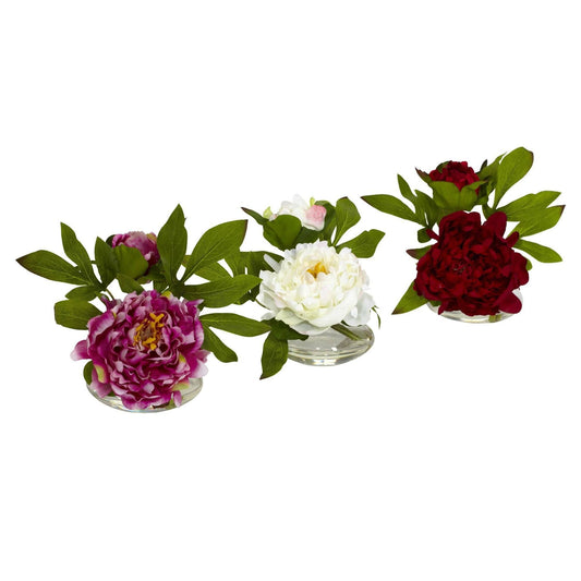 a group of flowers in a row