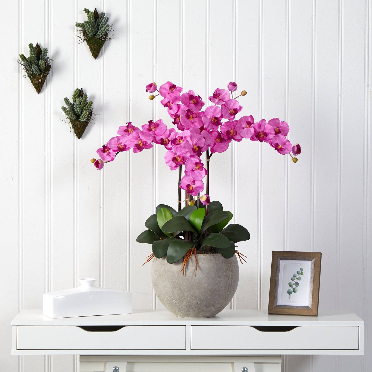 Phalaenopsis Orchid Arrangement with Sand Colored Bowl