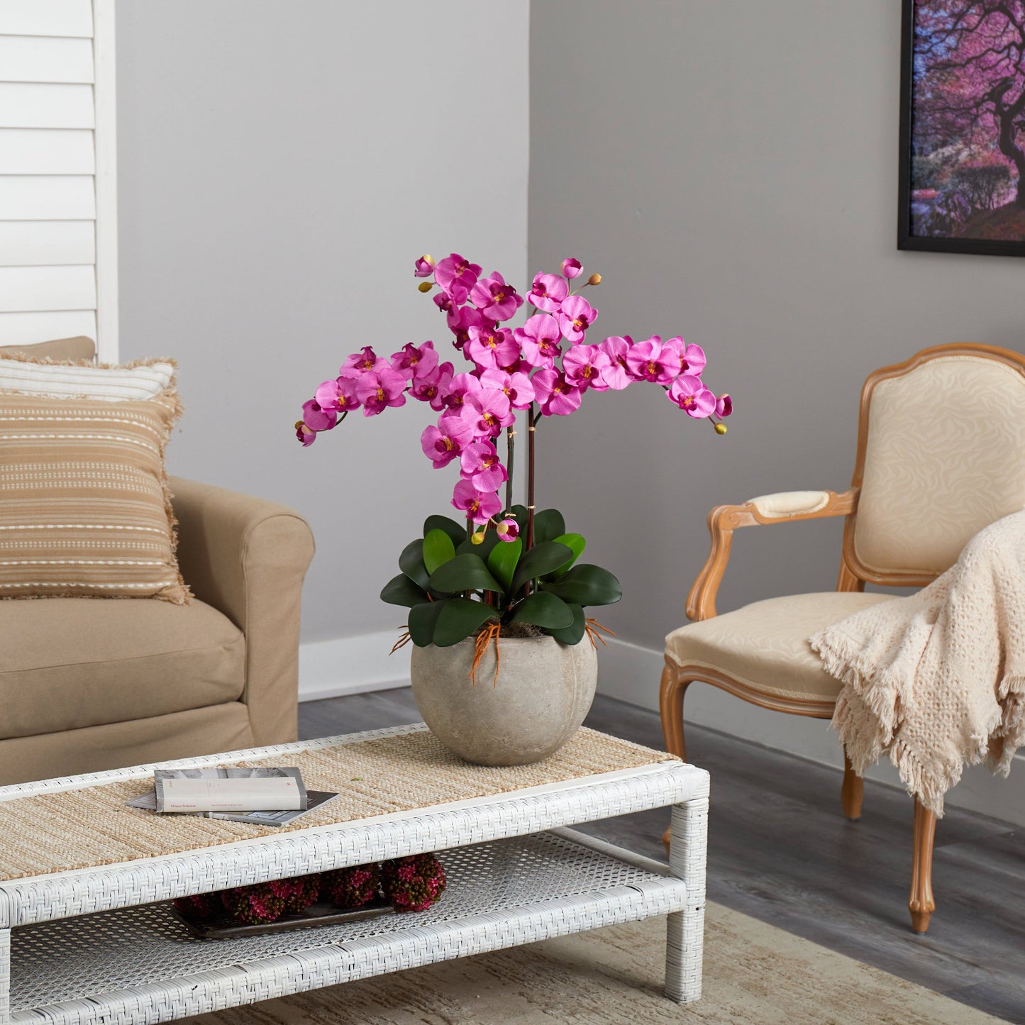 Phalaenopsis Orchid Arrangement with Sand Colored Bowl