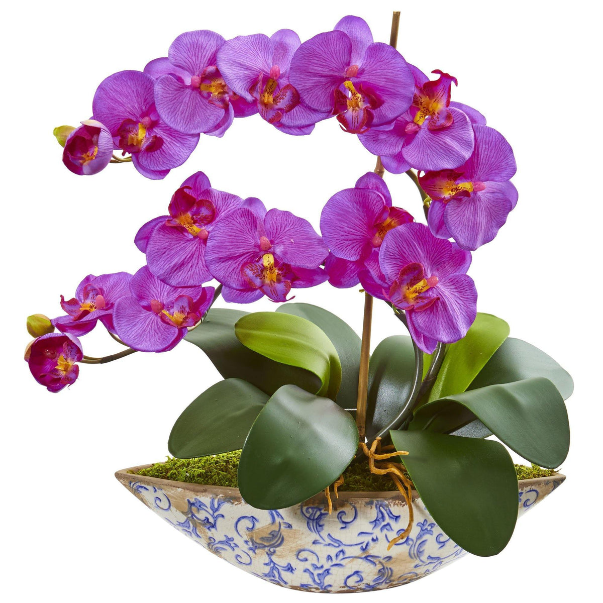 a purple flowers in a pot