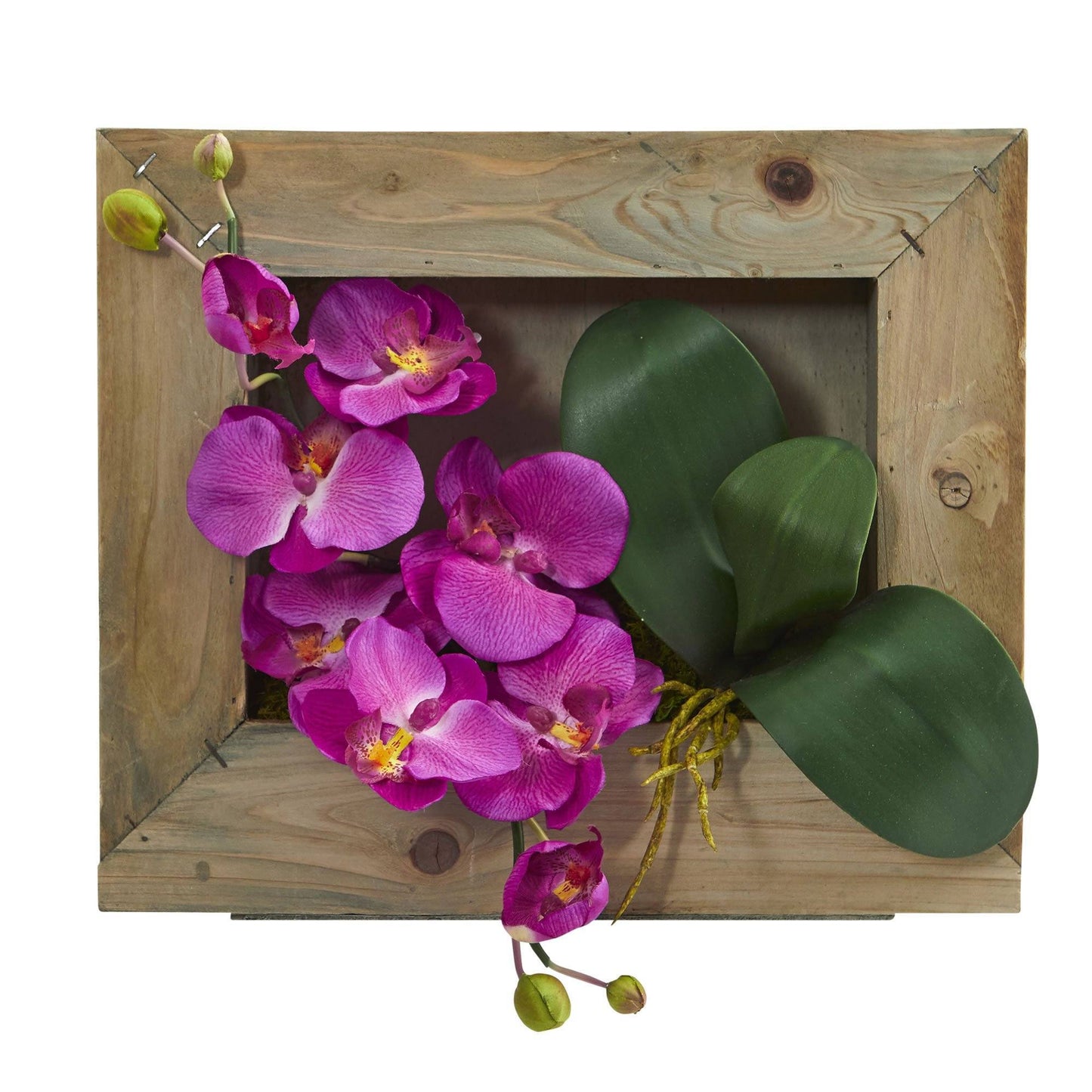 Phalaenopsis Orchid Artificial Arrangement in Wooden Picture Frame