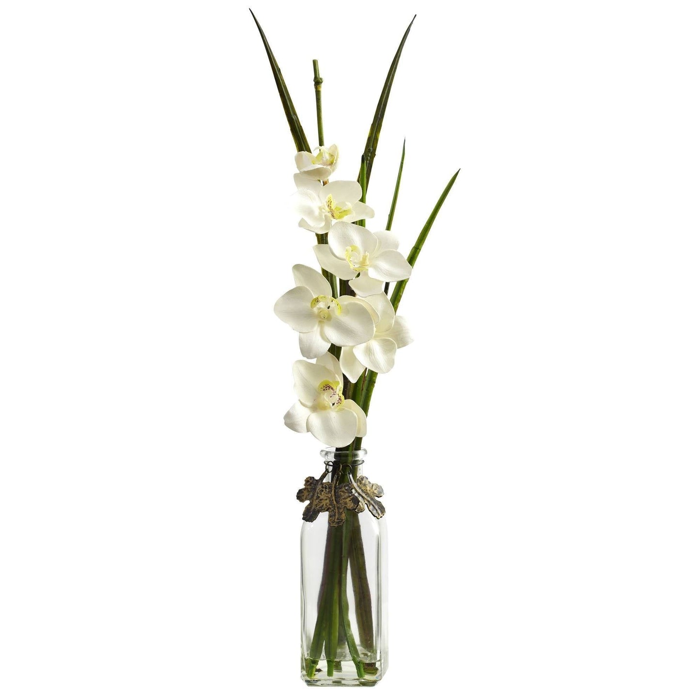 Phalaenopsis w/Colored Jar (Set of 2)