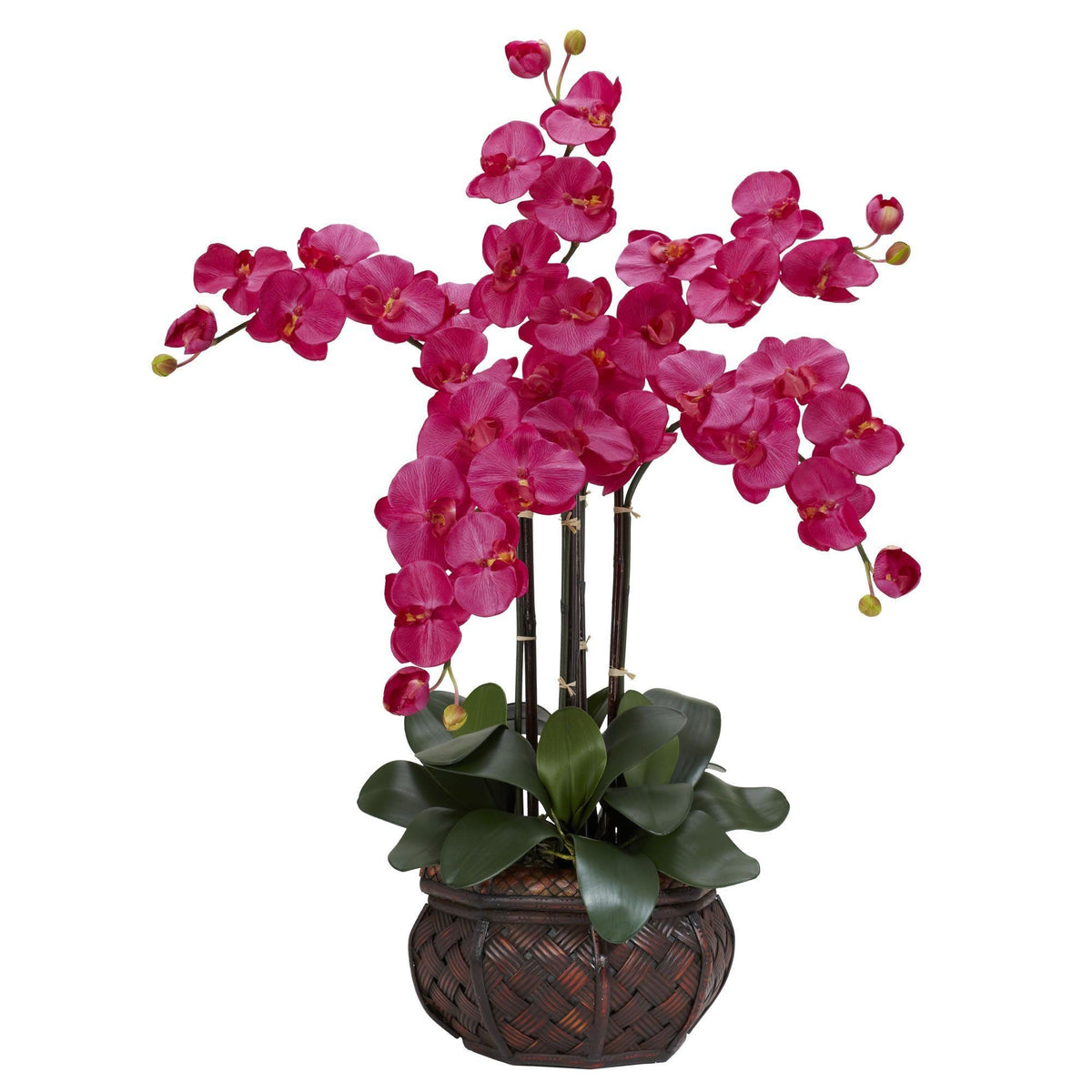 a plant in a pot