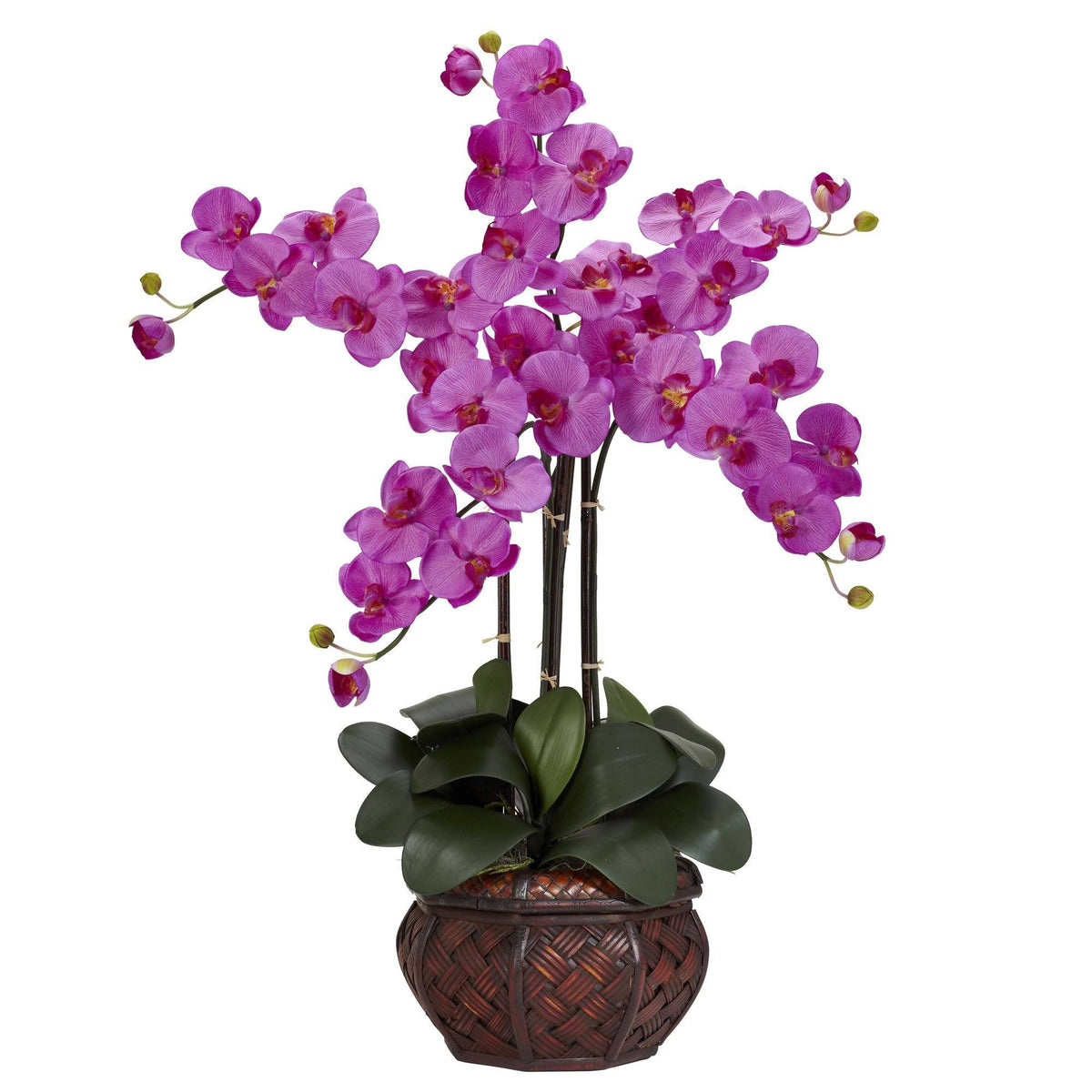 a purple flower in a pot