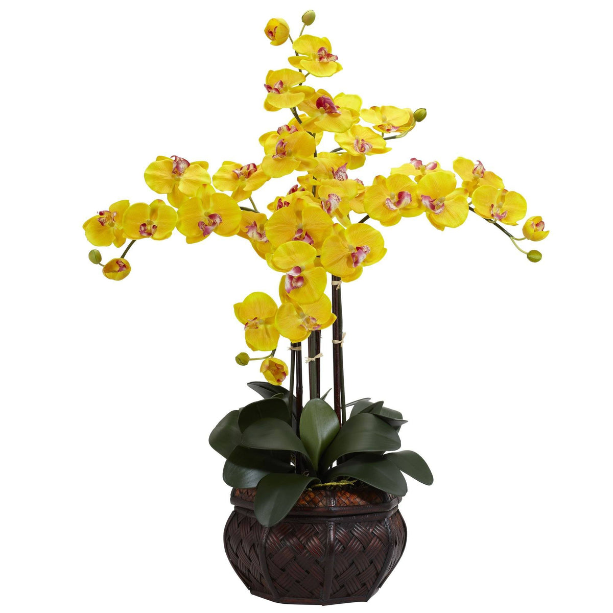 a yellow flower in a pot