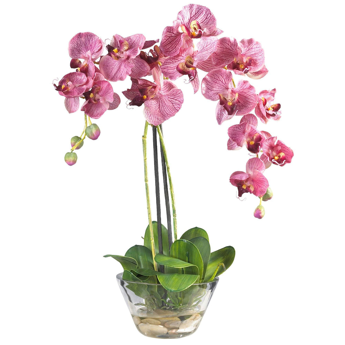 a pink orchid in a glass vase