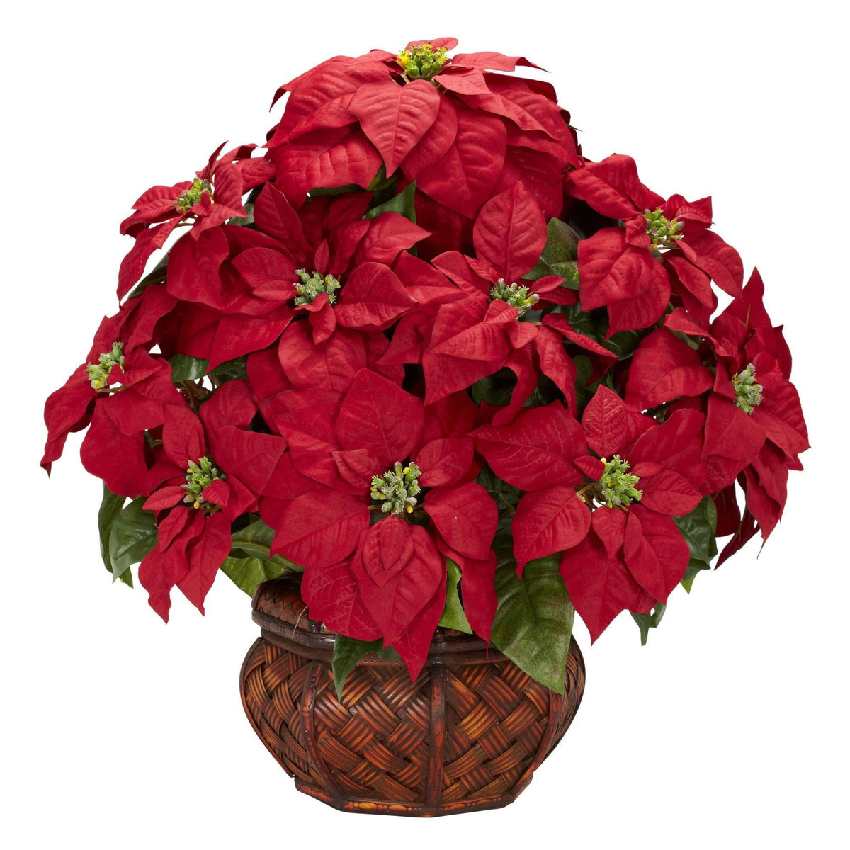 a potted plant with red flowers