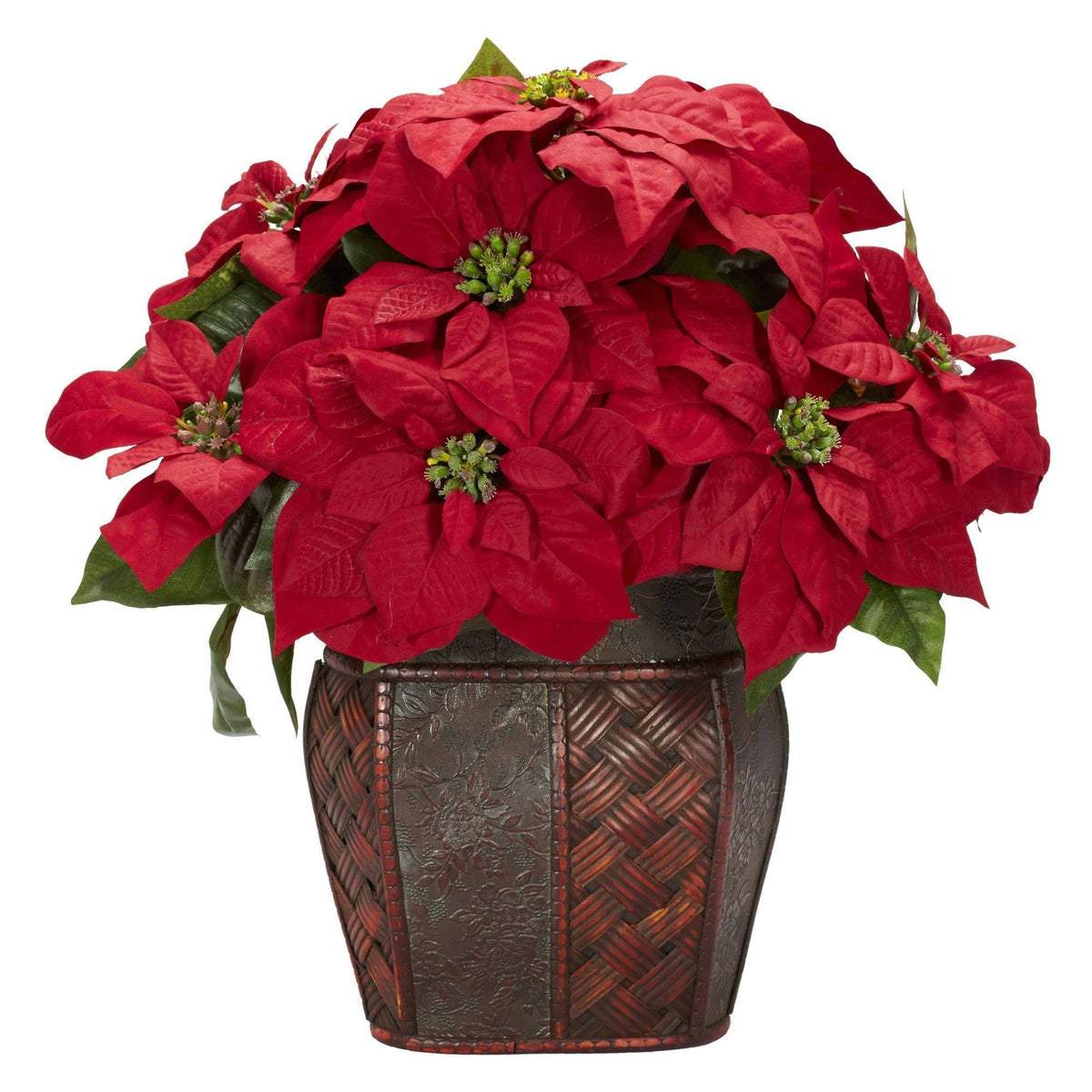 a potted red flowers