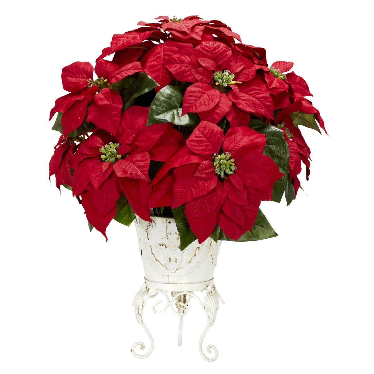 a potted red flowers