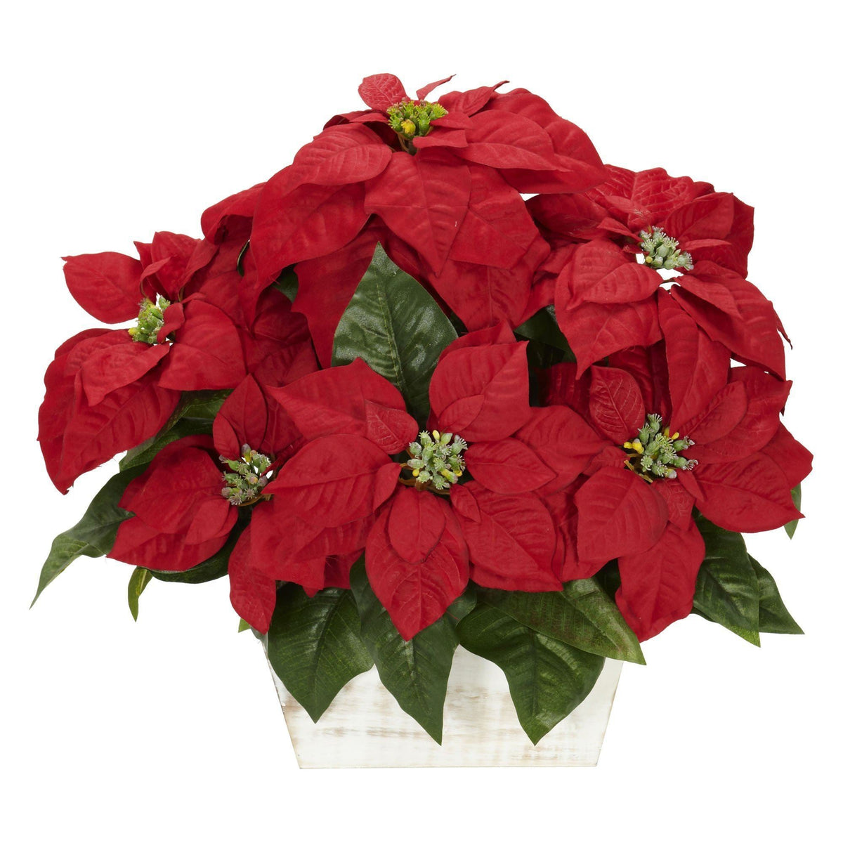 a potted red flowers