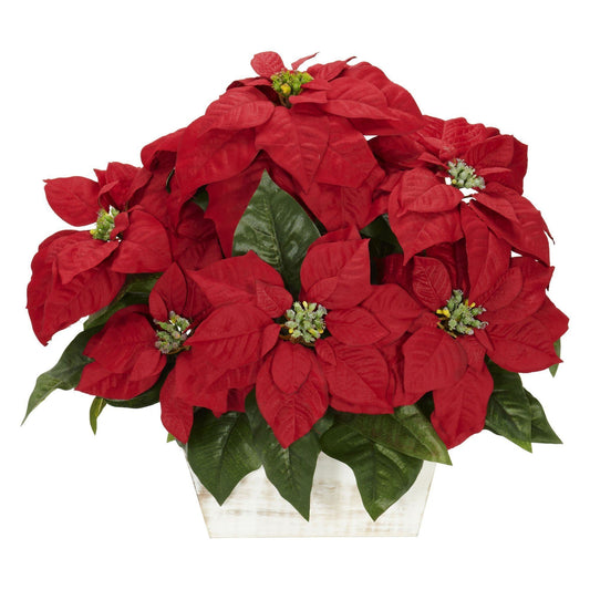 a potted red flowers