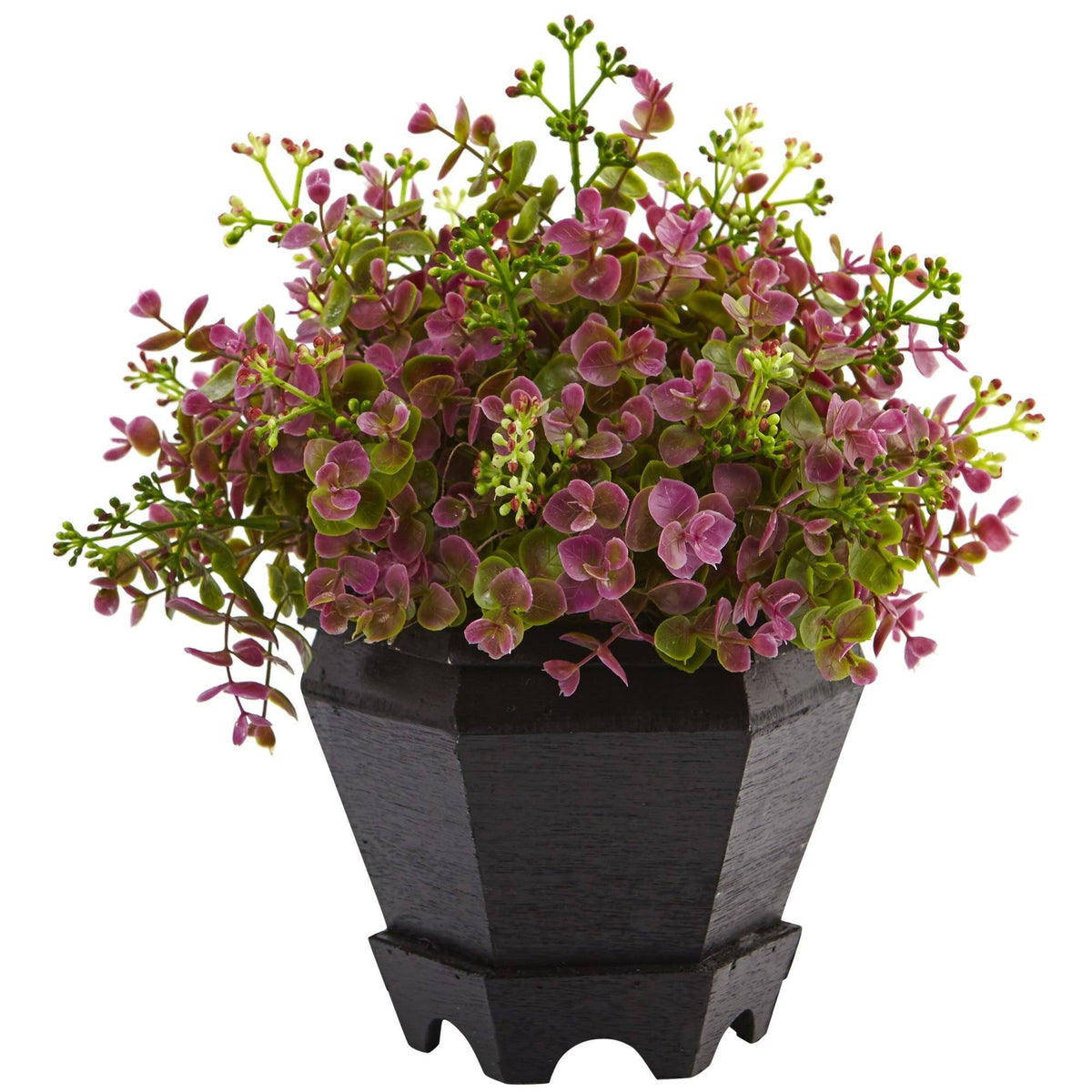 a potted plant with purple and green leaves