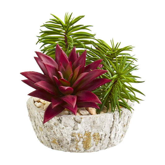 Artificial Succulent Plant in Weathered Oak Planter (Set of 2)
