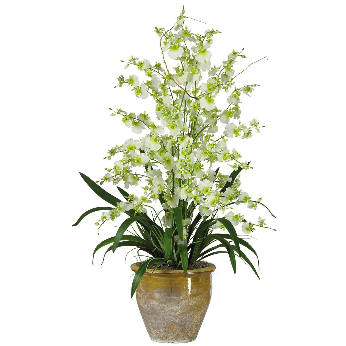 a plant in a pot