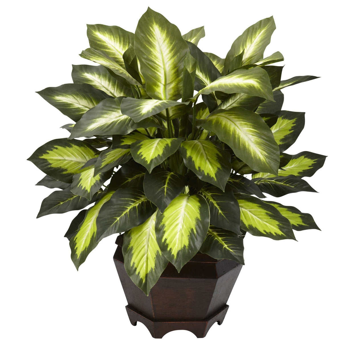 a green plant in a pot