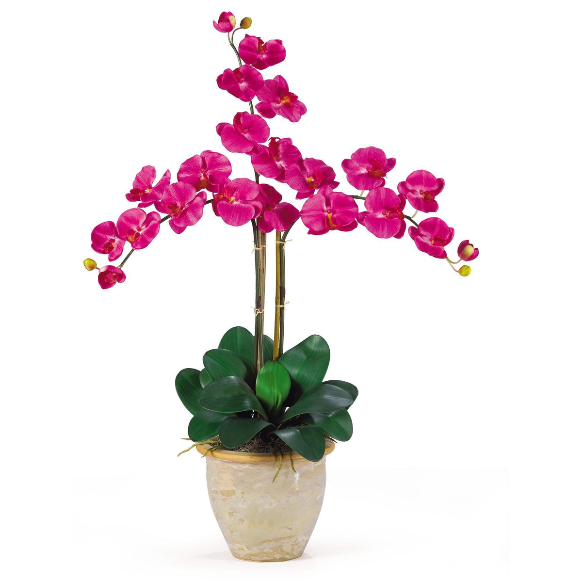 a potted plant with pink flowers