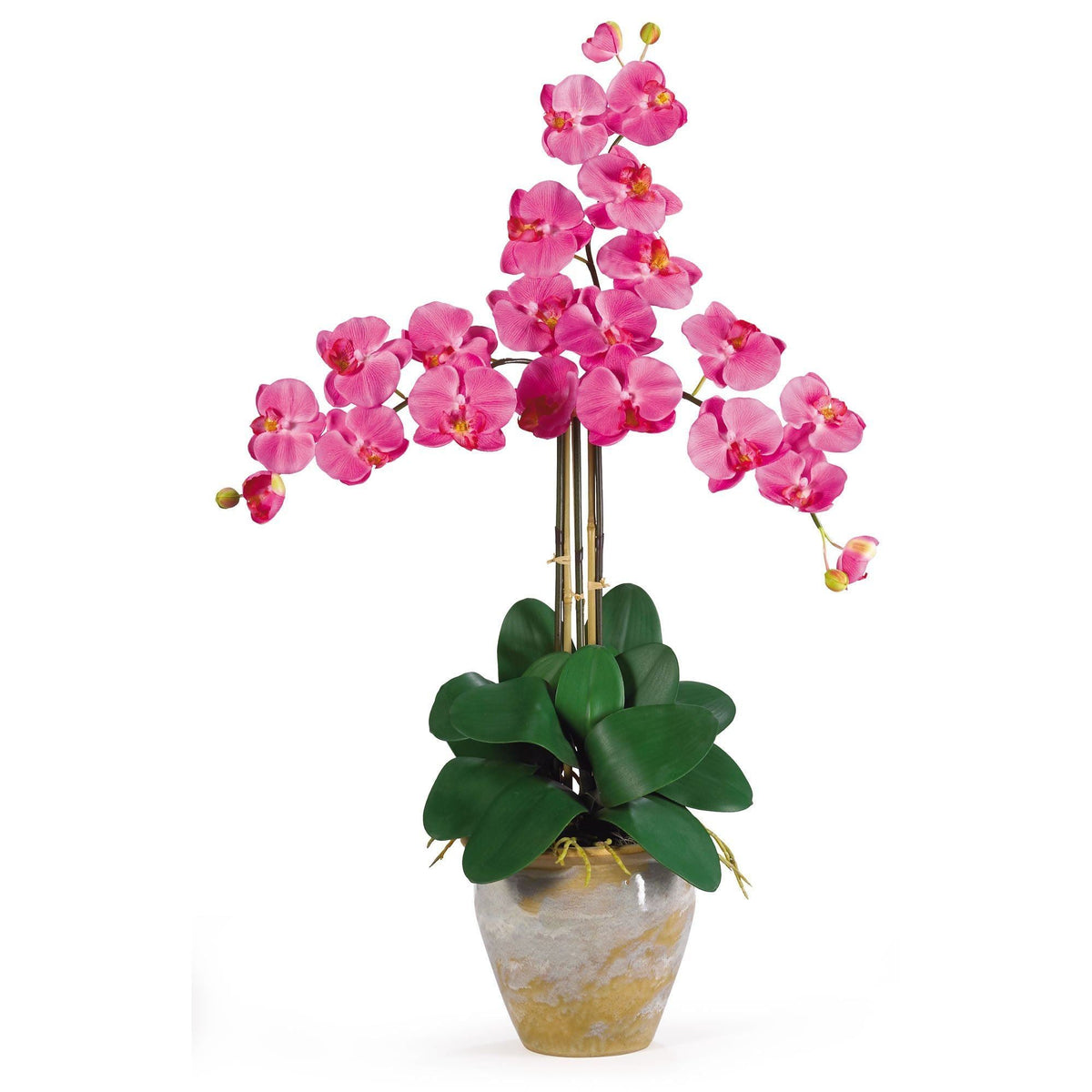 a potted plant with pink flowers