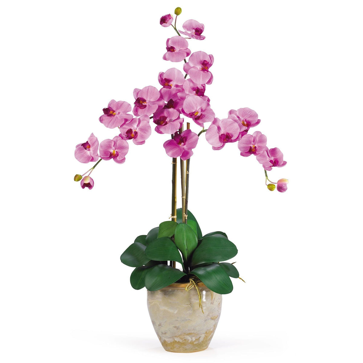 a potted plant with purple flowers