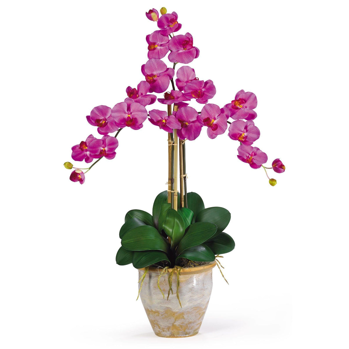 a potted plant with purple flowers