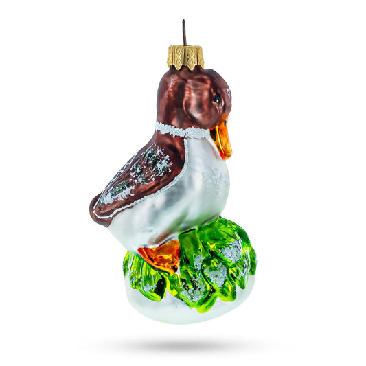 Brown Headed Duck on Grass Glass Christmas Ornament
