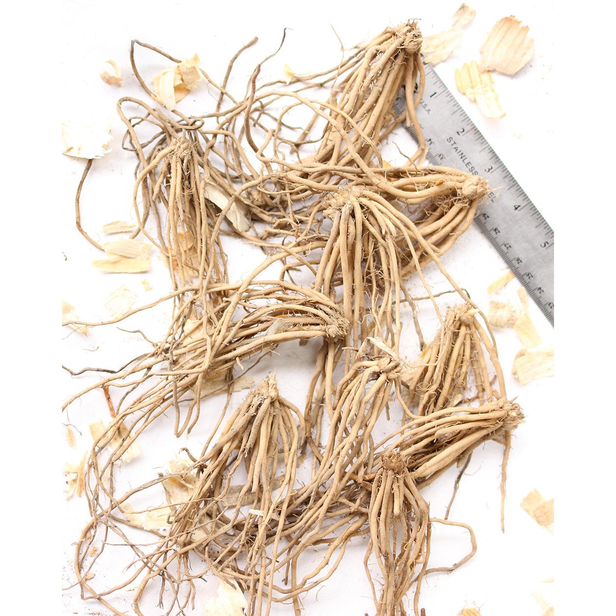 Mary Washington Asparagus Crowns - 10 root divisions
