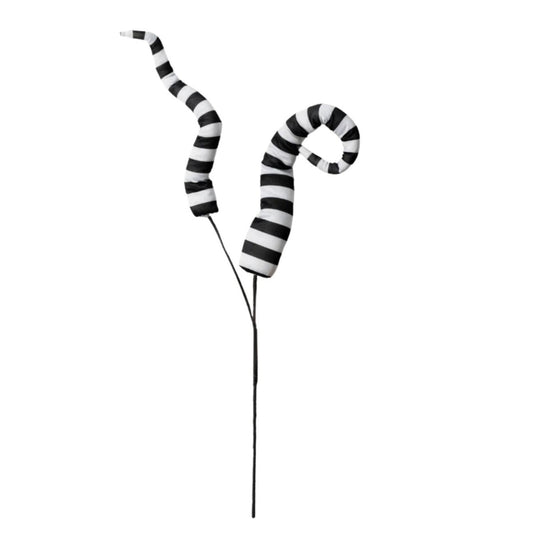 34" Stripe Horn Spray: Black & White