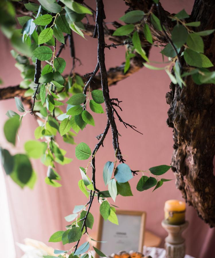 Camellia Green Leaf Stem