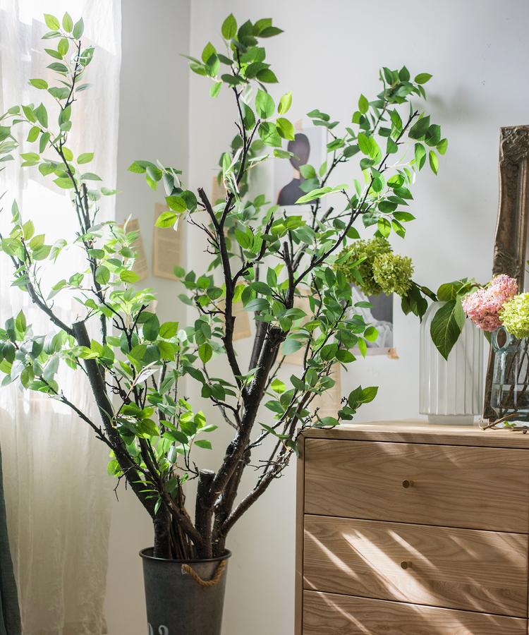 Camellia Green Leaf Stem