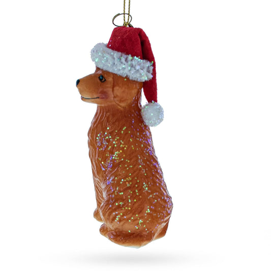 a dog wearing a santa hat