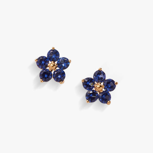 a pair of blue earrings