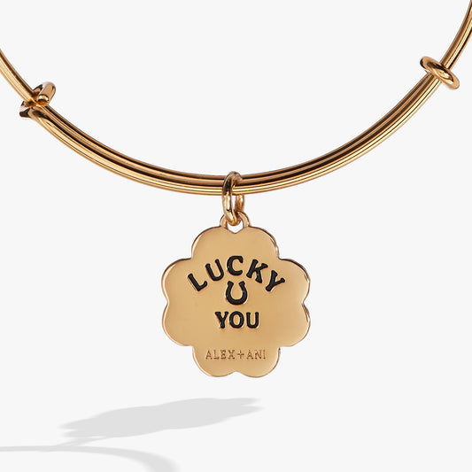 a gold necklace with a pendant